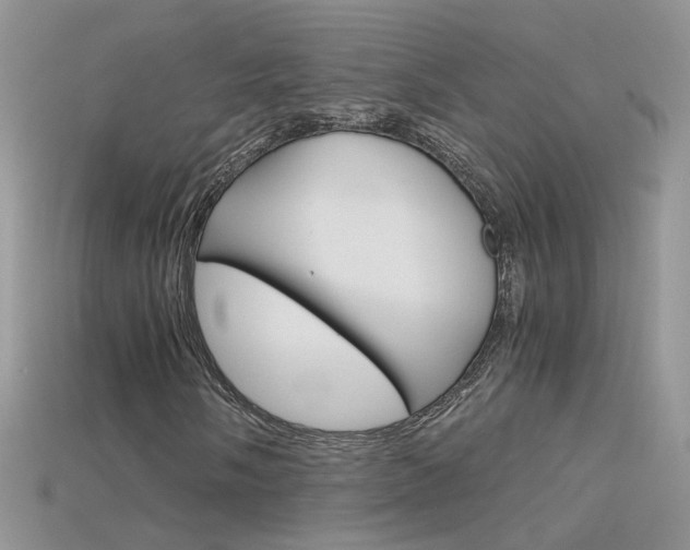 X0000115701058200911121400