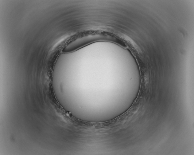 X0000115701064200911121359