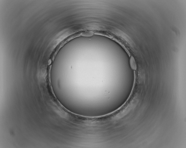X0000115701065200911121359