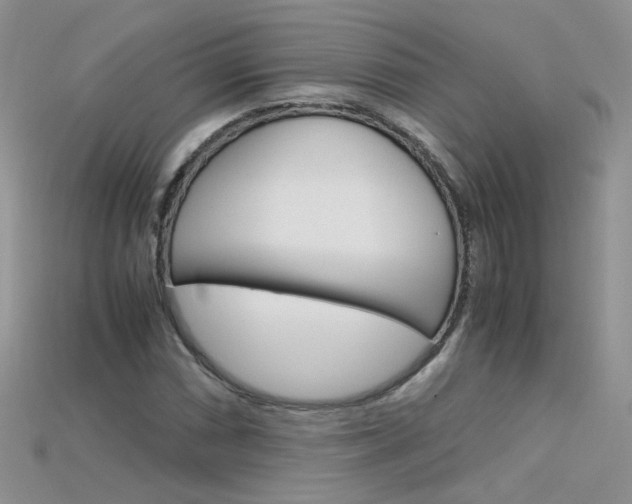 X0000115701066200911121359