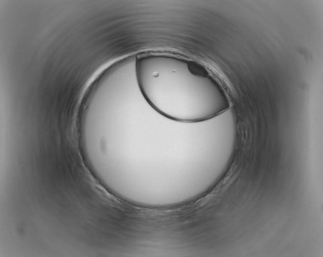 X0000115701068200911121359