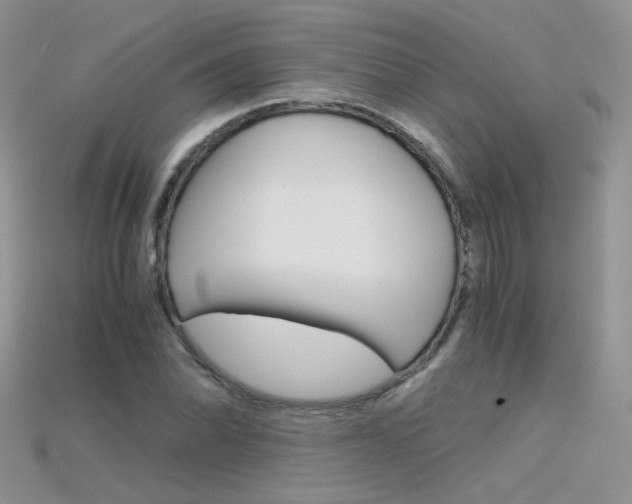 X0000115701070200911121359