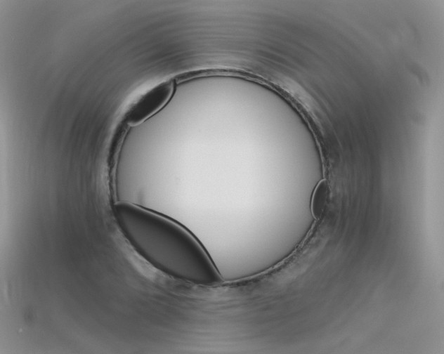 X0000115701072200911121359