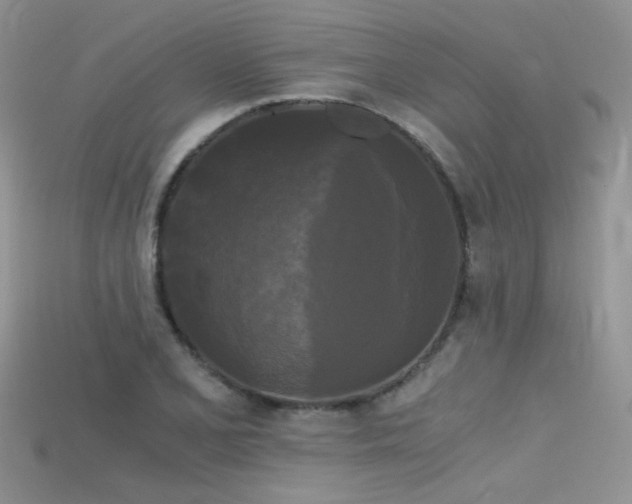 X0000115701077200911121359