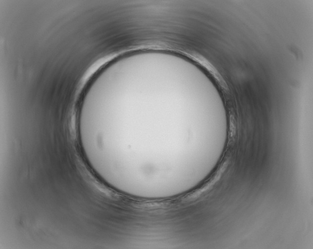 X0000115701078200911121359