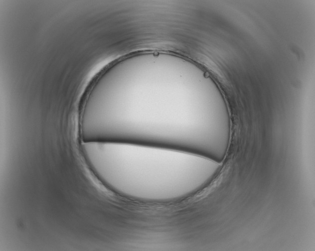 X0000115701079200911121359