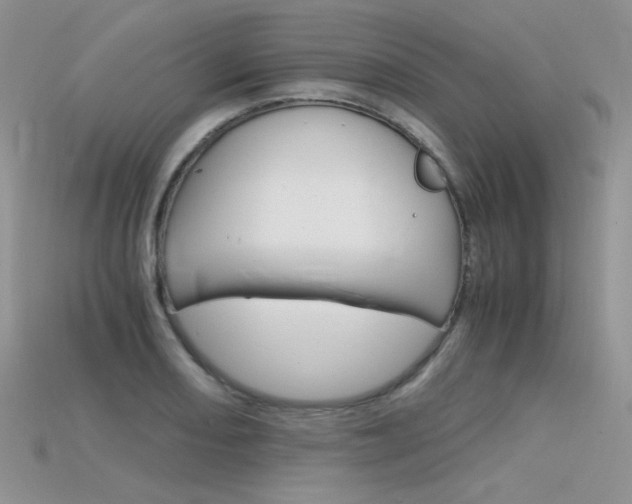 X0000115701082200911121359