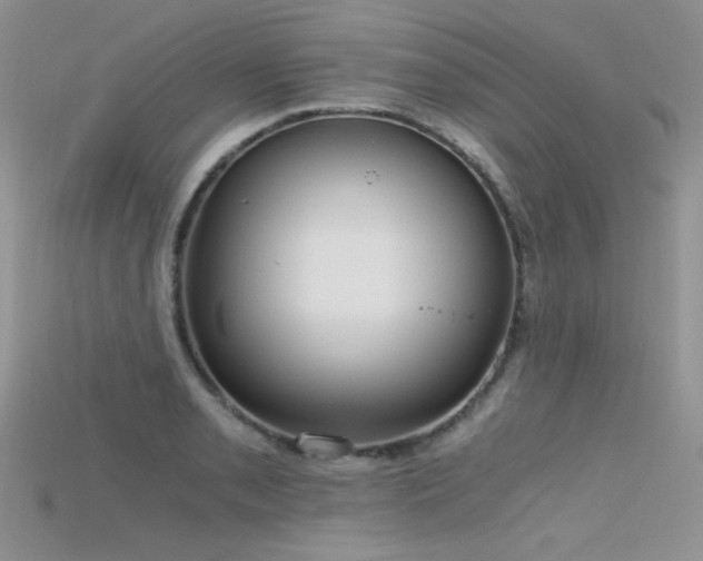 X0000115701085200911121359