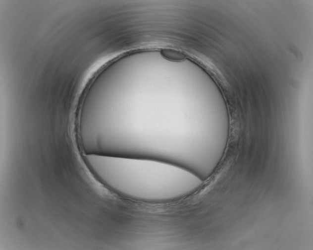 X0000115701086200911121359