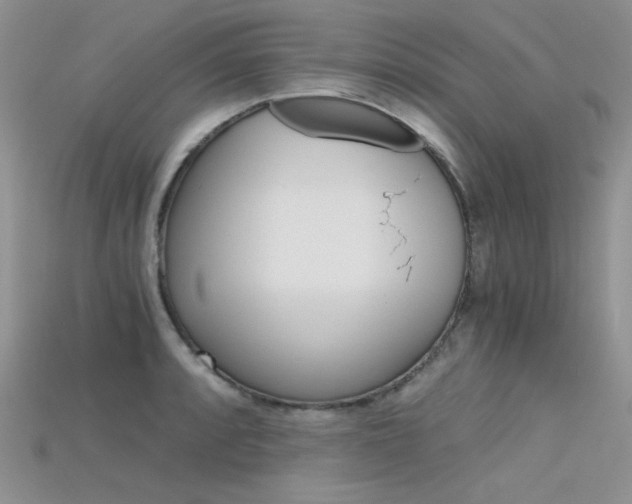 X0000115701088200911121359