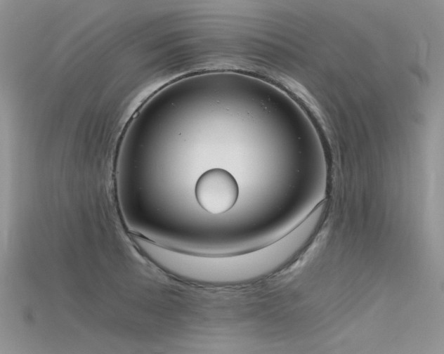 X0000115701089200911121359
