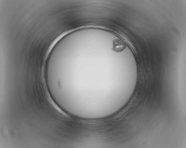 X0000115701092200911121359