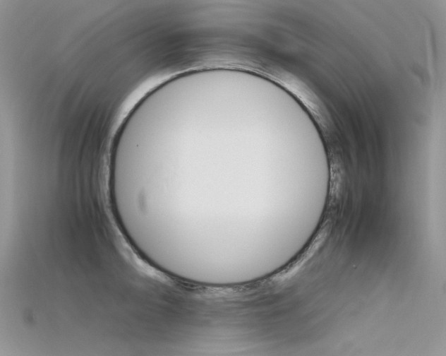 X0000115701094200911121359