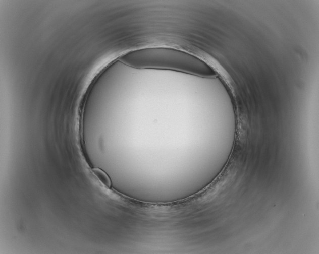 X0000115701096200911121359