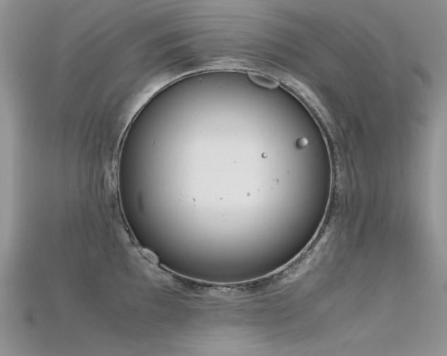 X0000115701097200911121359