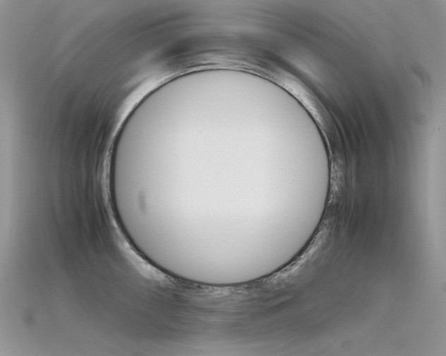 X0000115701098200911121359