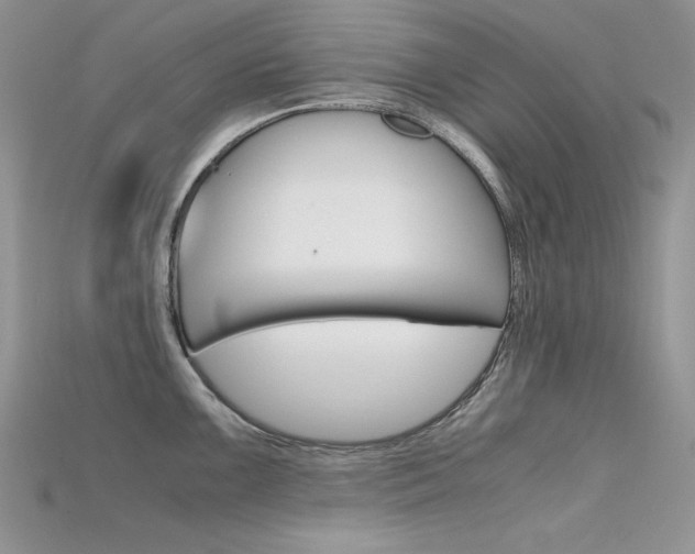 X0000115701099200911121359