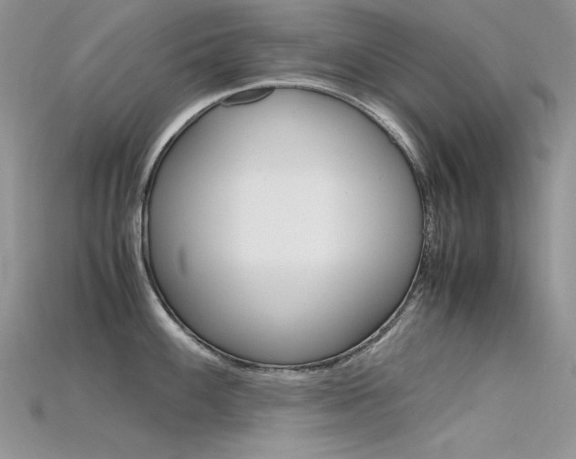 X0000115701100200911121359