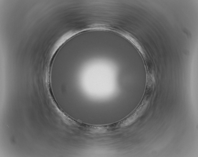 X0000115701101200911121359