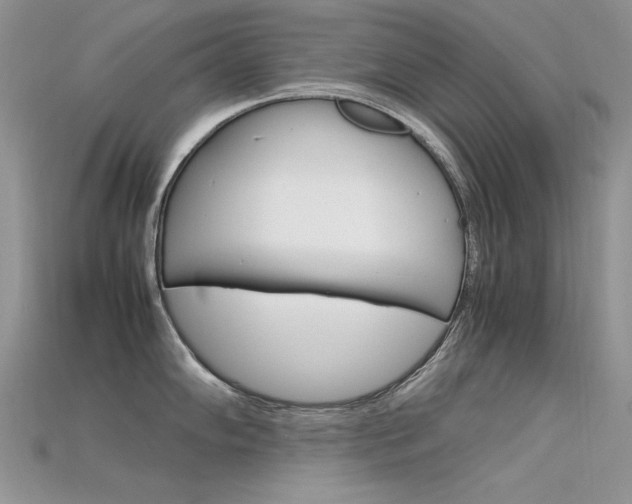 X0000115701102200911121359