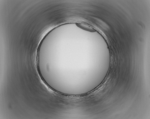 X0000115701103200911121359