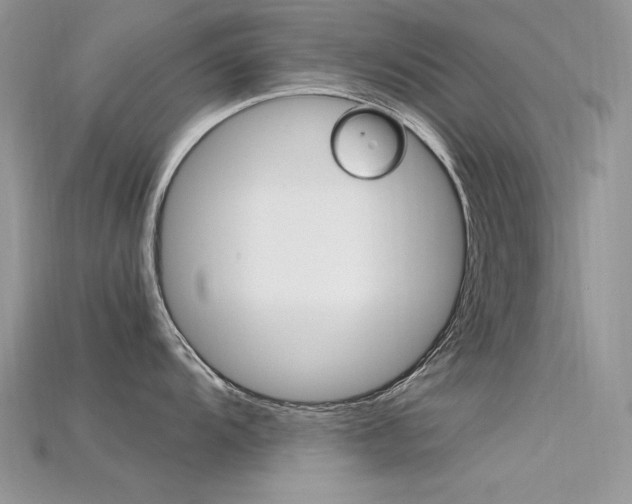X0000115701104200911121359