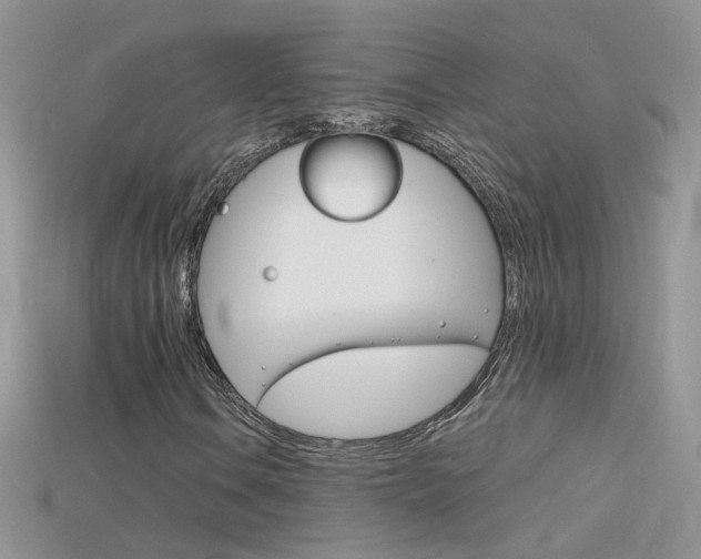 X0000115701106200911121358