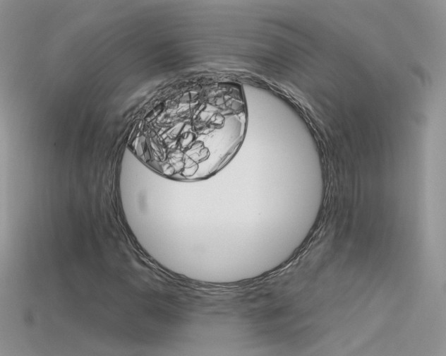 X0000115701110200911121358