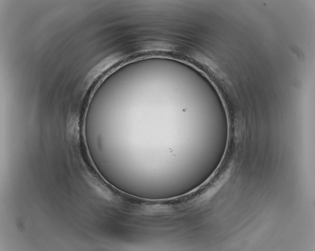 X0000115701113200911121358