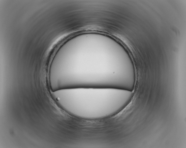 X0000115701115200911121358