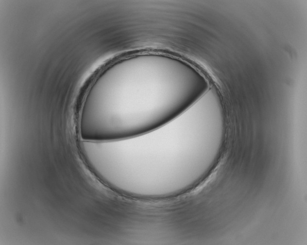 X0000115701118200911121358