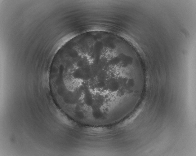 X0000115701121200911121358