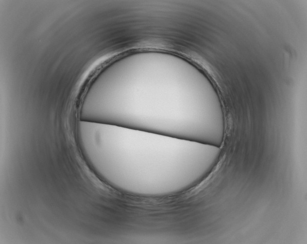 X0000115701123200911121358