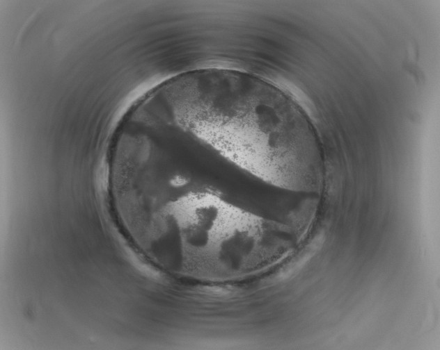 X0000115701125200911121358