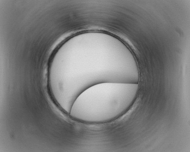 X0000115701126200911121358