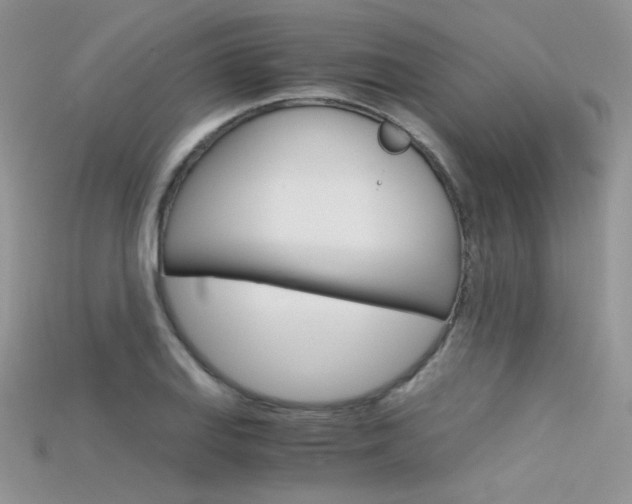 X0000115701127200911121358