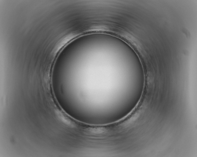 X0000115701129200911121359