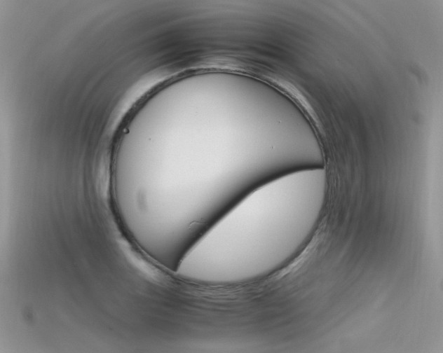 X0000115701131200911121359