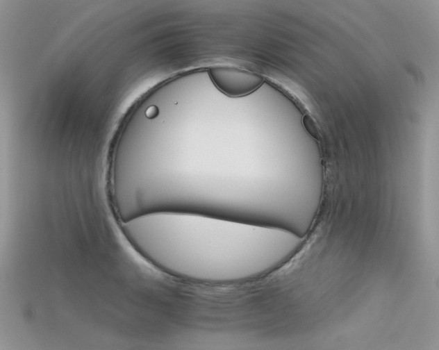 X0000115701135200911121359