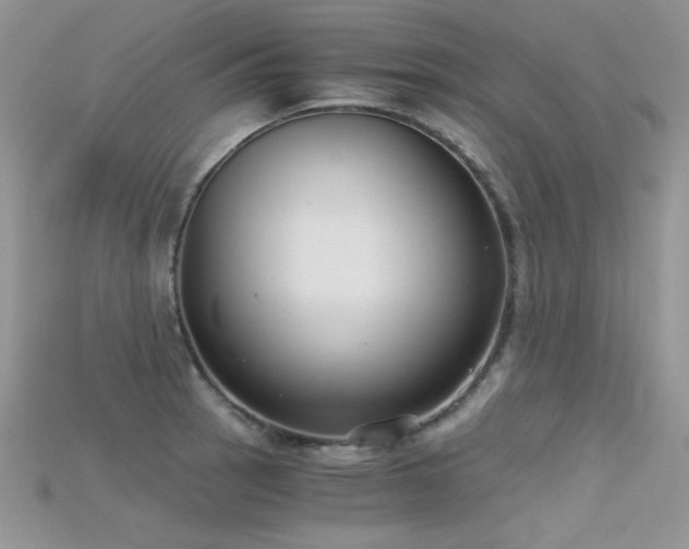 X0000115701137200911121359
