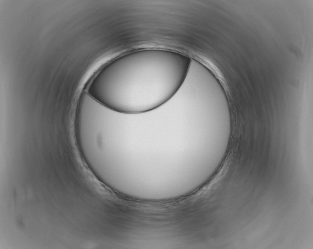 X0000115701138200911121359