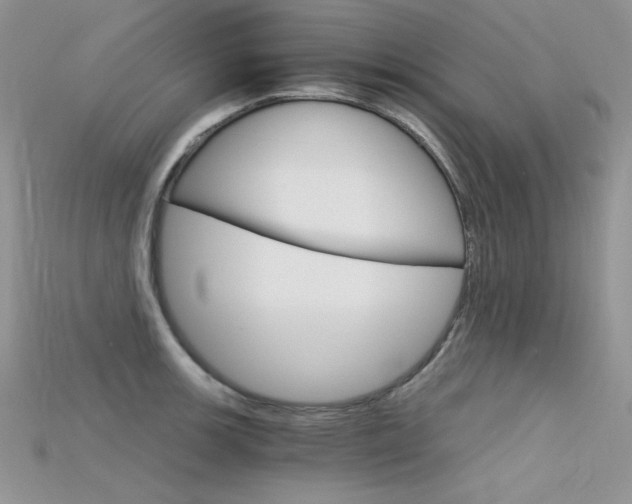 X0000115701139200911121359