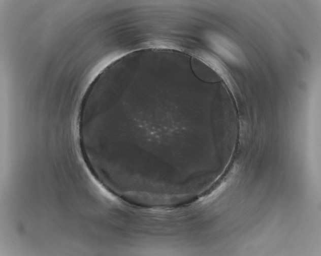 X0000115701141200911121359