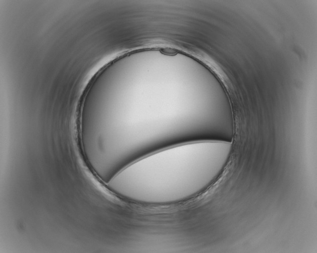 X0000115701142200911121359