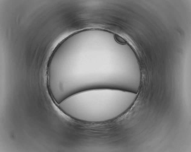X0000115701143200911121359