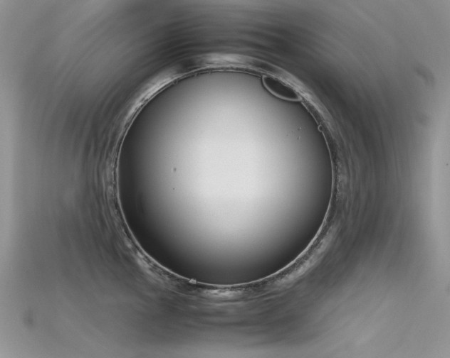 X0000115701145200911121359