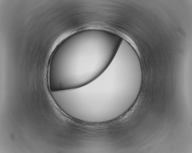 X0000115701146200911121359