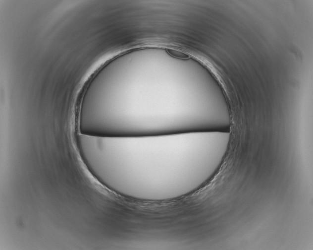 X0000115701147200911121359