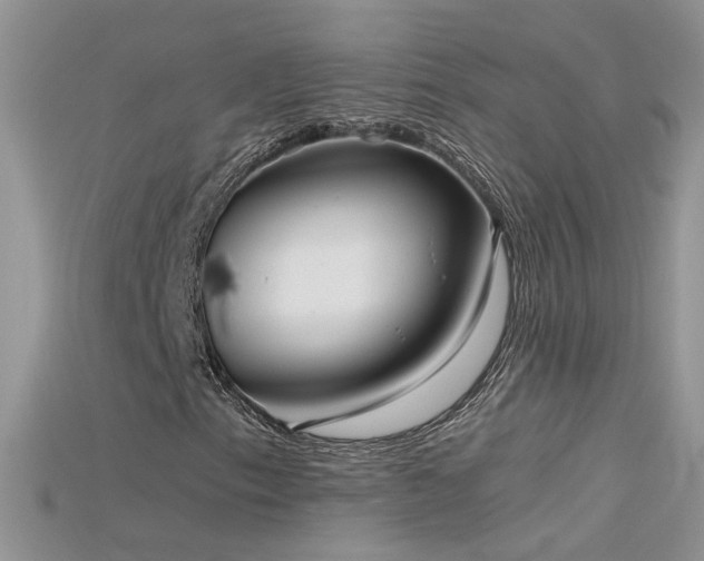 X0000115701153200911121358