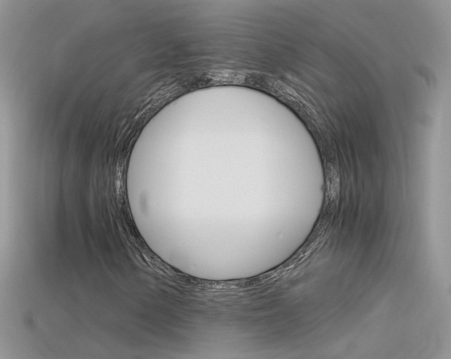 X0000115701154200911121358